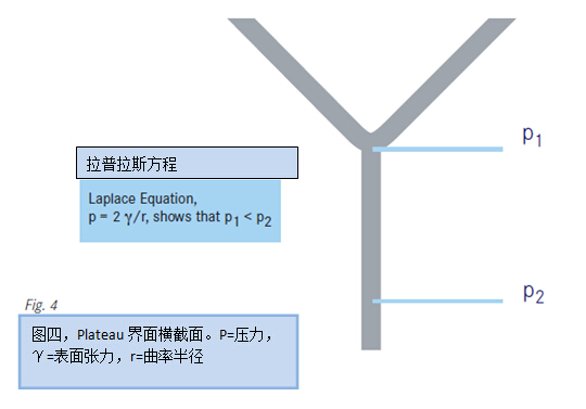 圖四，Plateau界面橫截面