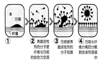 去污作用過程